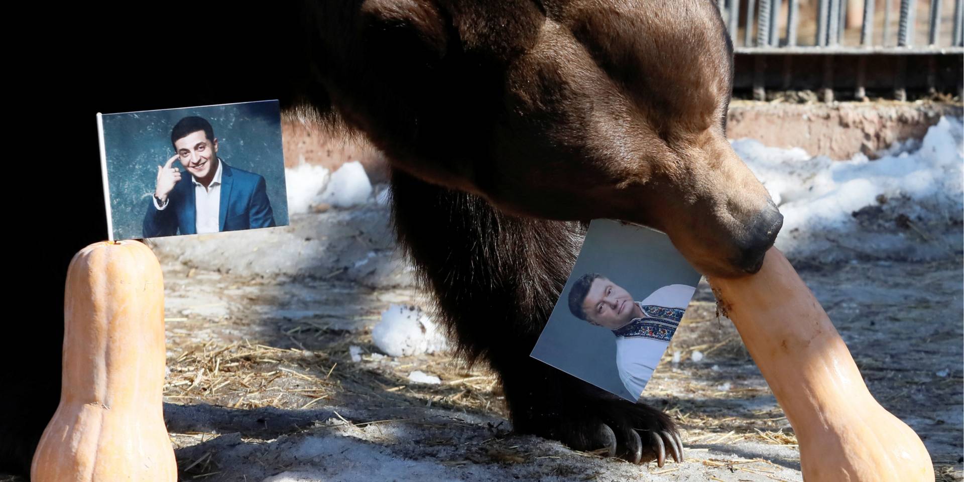 Иллюстрационное фото (Фото: REUTERS/Ilya Naymushin)