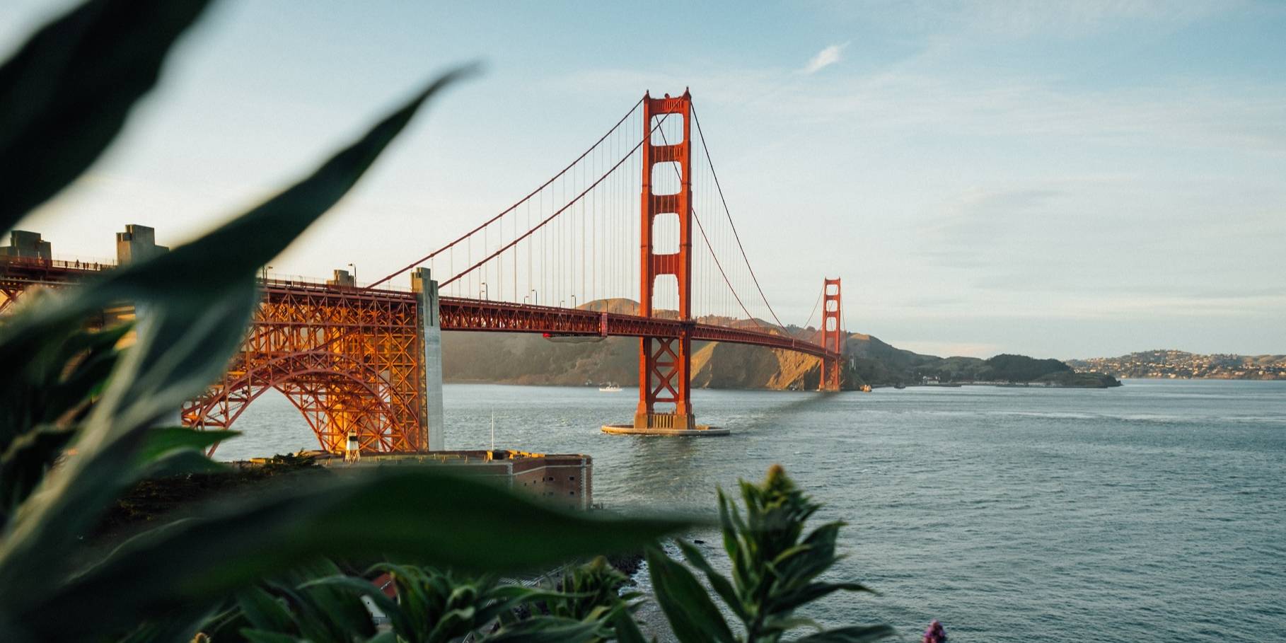 Tim Foster via Unsplash