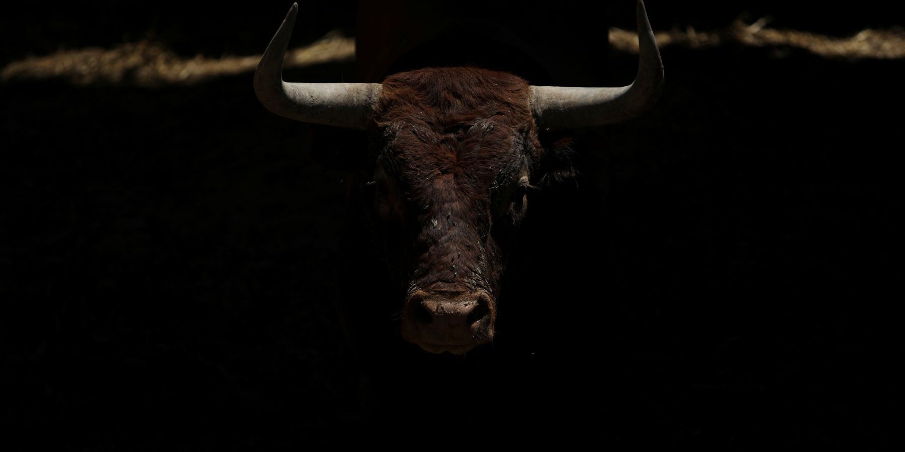 В Памплоні завершився фестиваль Сан-Фермін (Фото: © REUTERS / JN / SV / ELO / MOS)