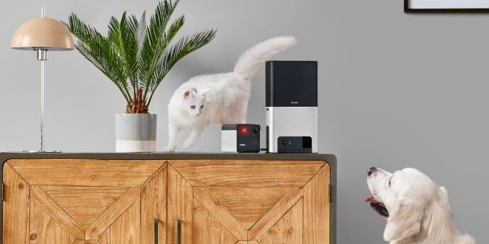 Petcube презентував розумні камери для тварин (Фото: Petcube)