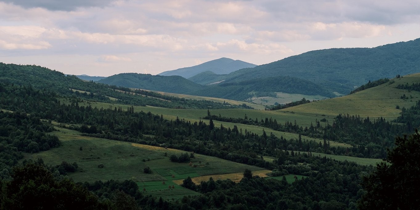 Rodion Kutsaev on Unsplash