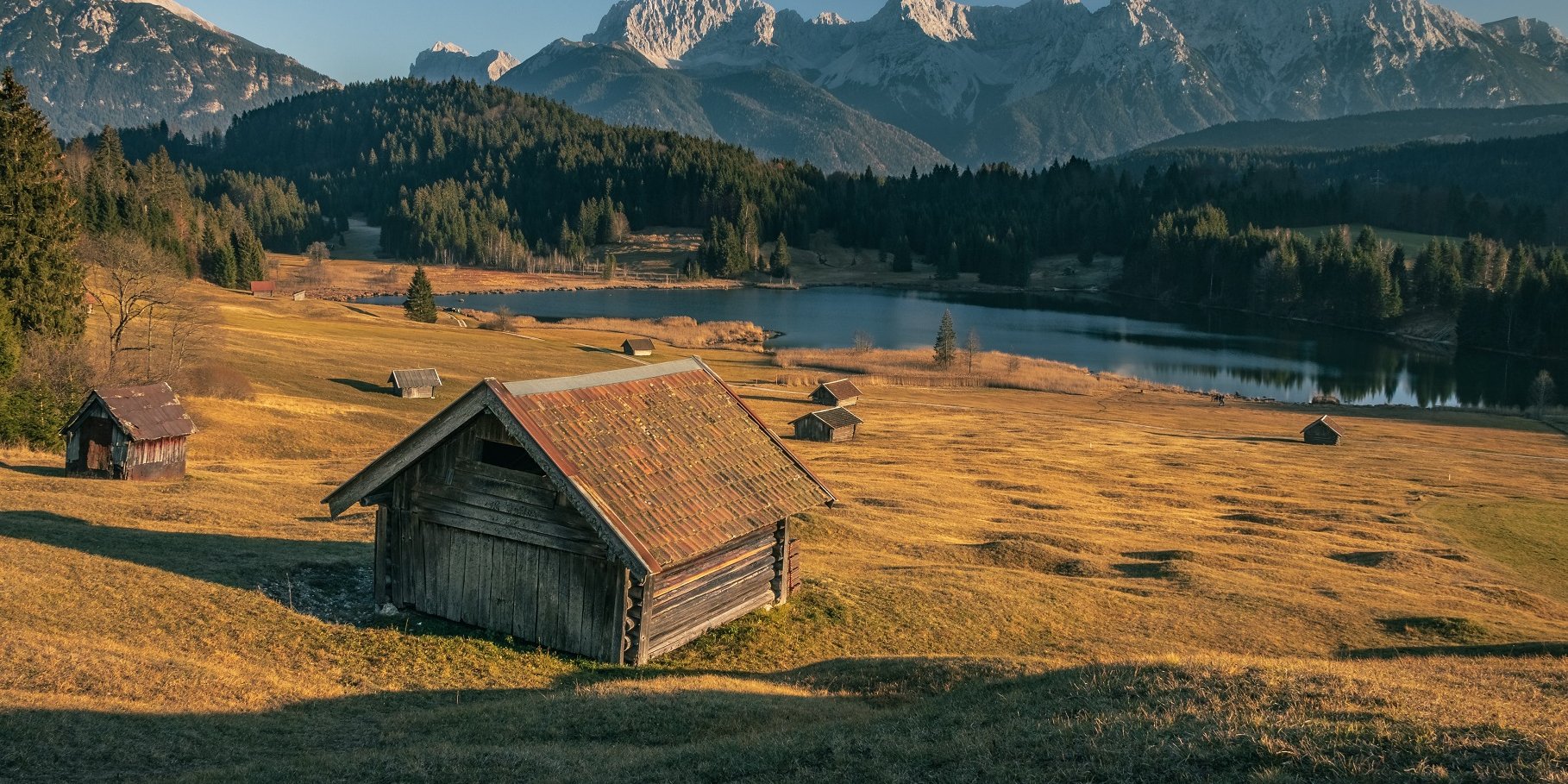 Ілюстративне фото (Фото: Mario Dobelmann on Unsplash)