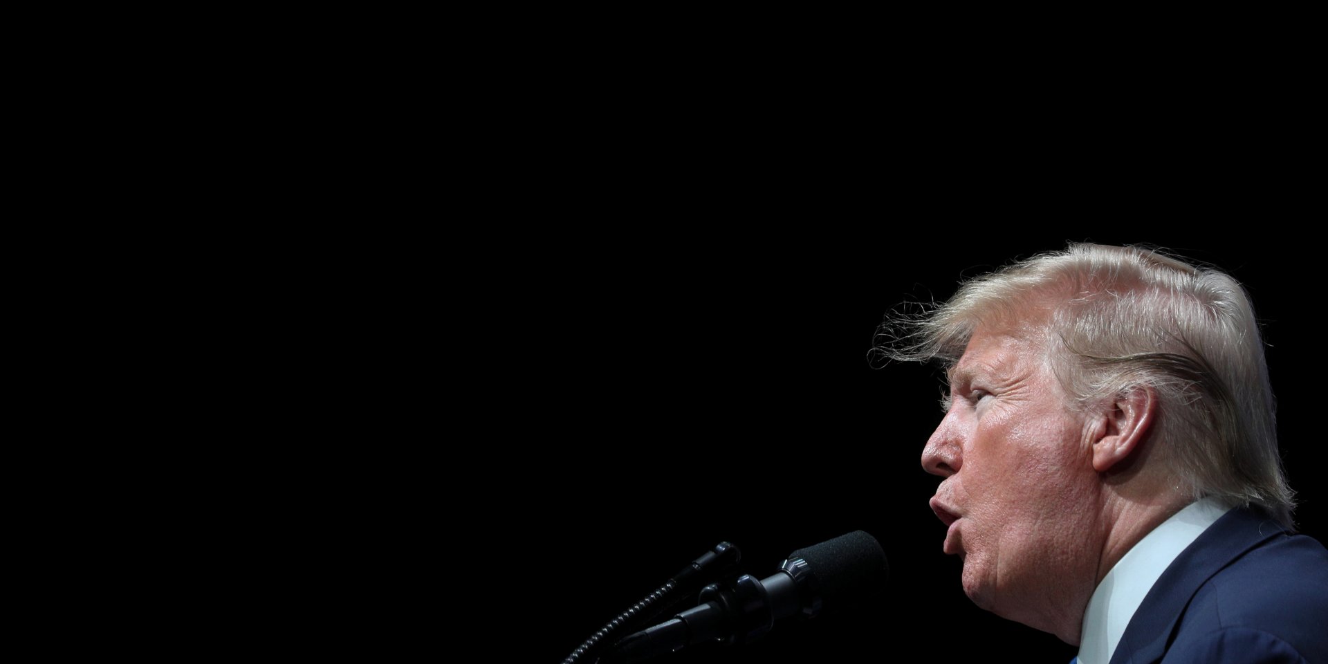 Трамп назвал демократов бездельниками (Фото: REUTERS/Loren Elliott)