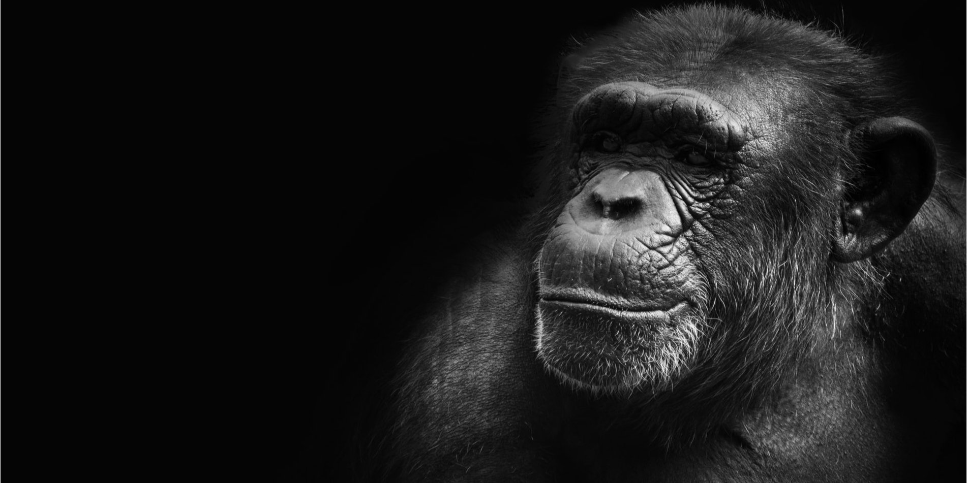 Почему нельзя повысить свой уровень IQ (Фото: Unsplash)