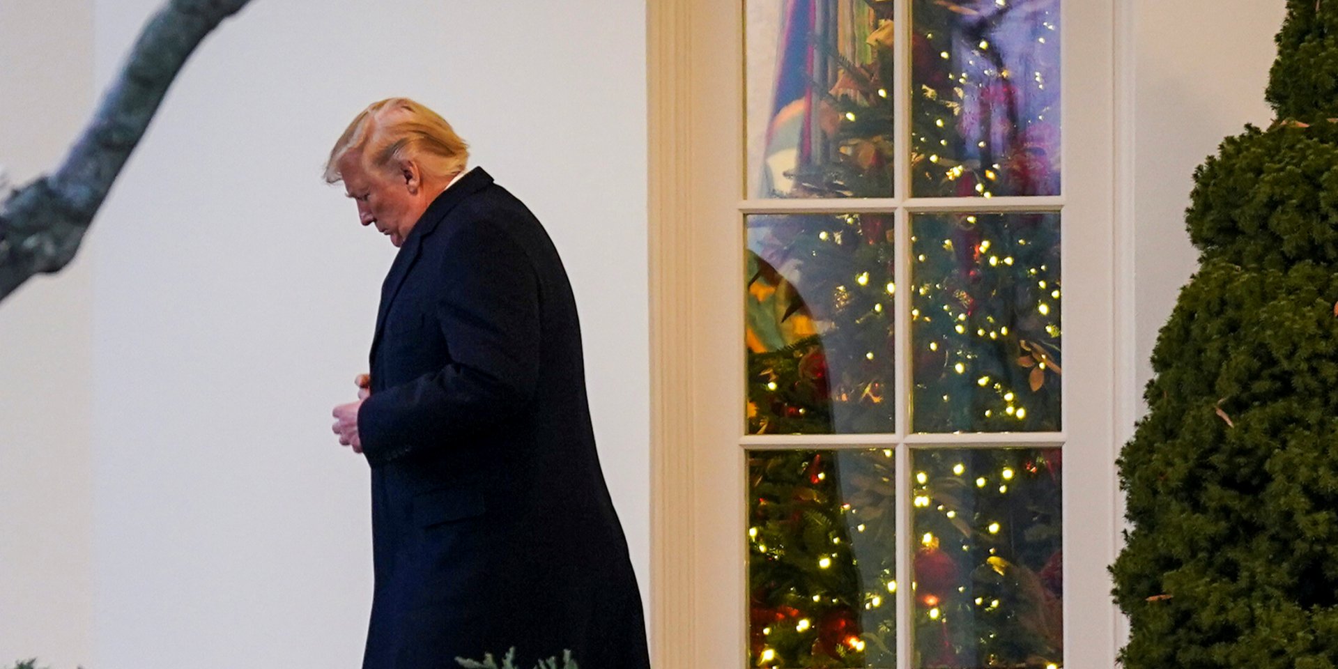 Дональд Трамп (Фото: REUTERS / Kevin Lamarque)