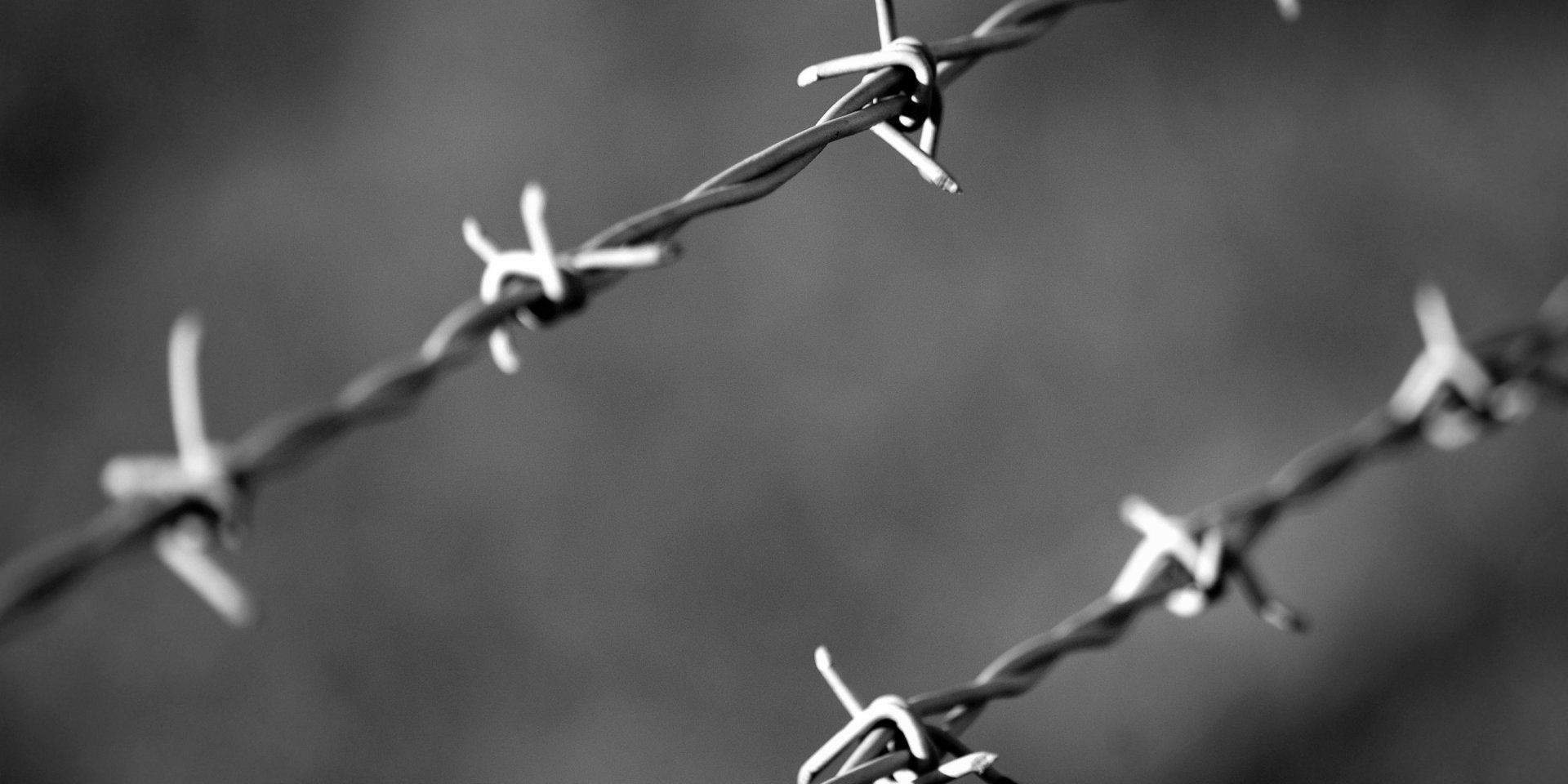 Daniel Abbatt via Pexels