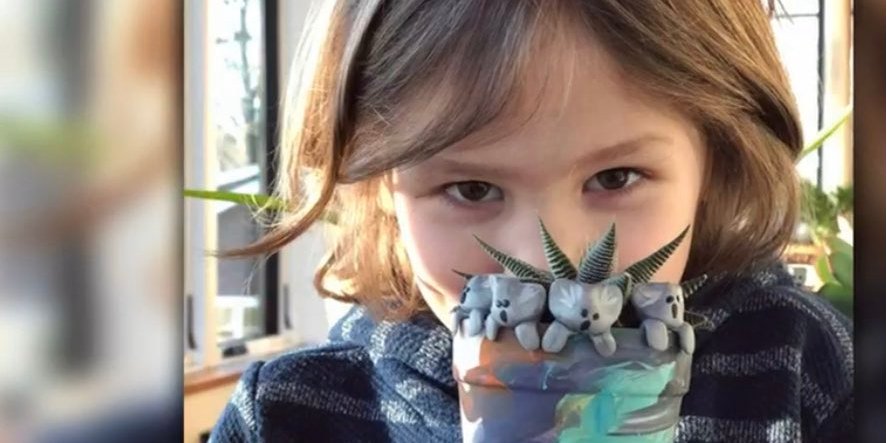 Сім'я Коллі надсилає одну коалу Оуена кожній людині, яка жертвує 50 або більше доларів (Фото: Amaka Ubaka/Twitter)
