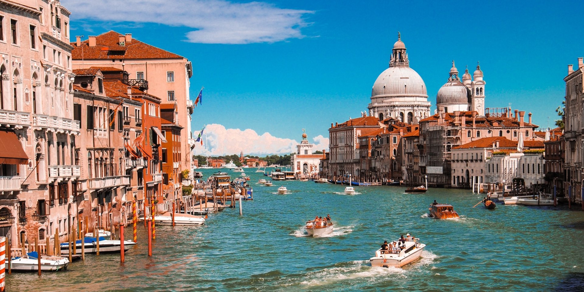 Dan Novac via Unsplash