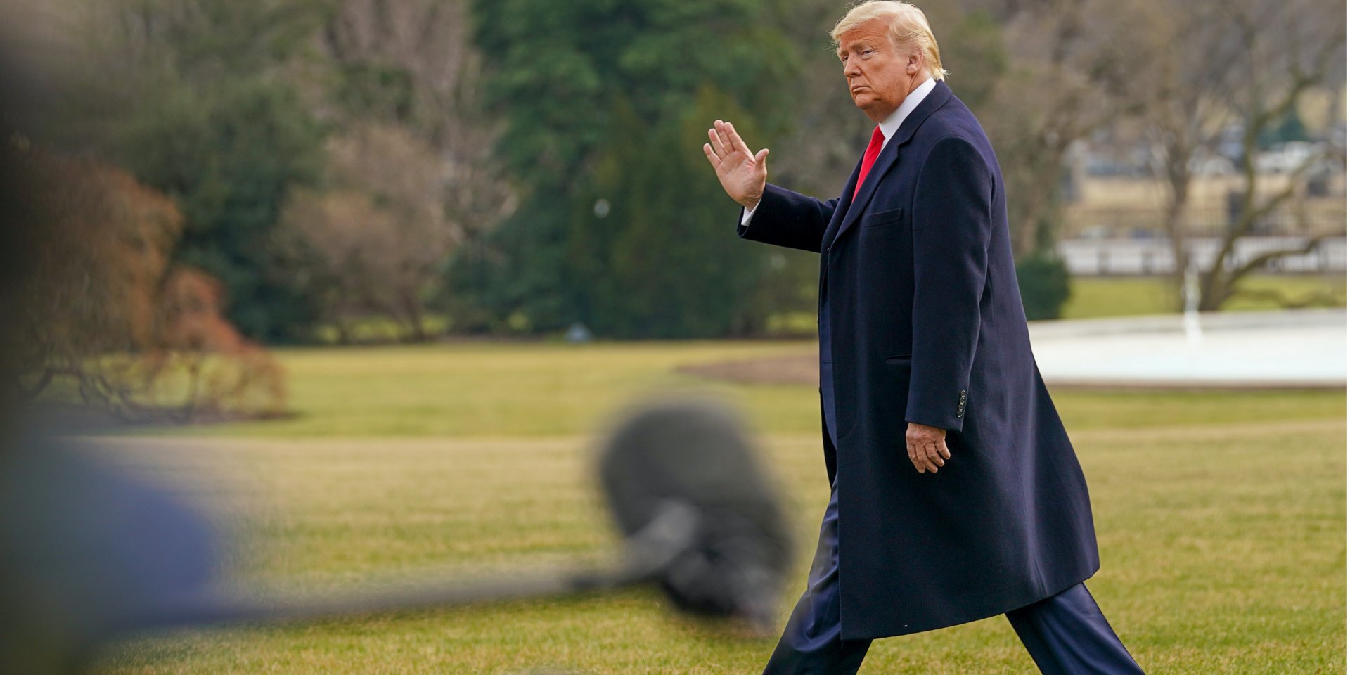 Дональд Трамп (Фото: REUTERS/Kevin Lamarque)