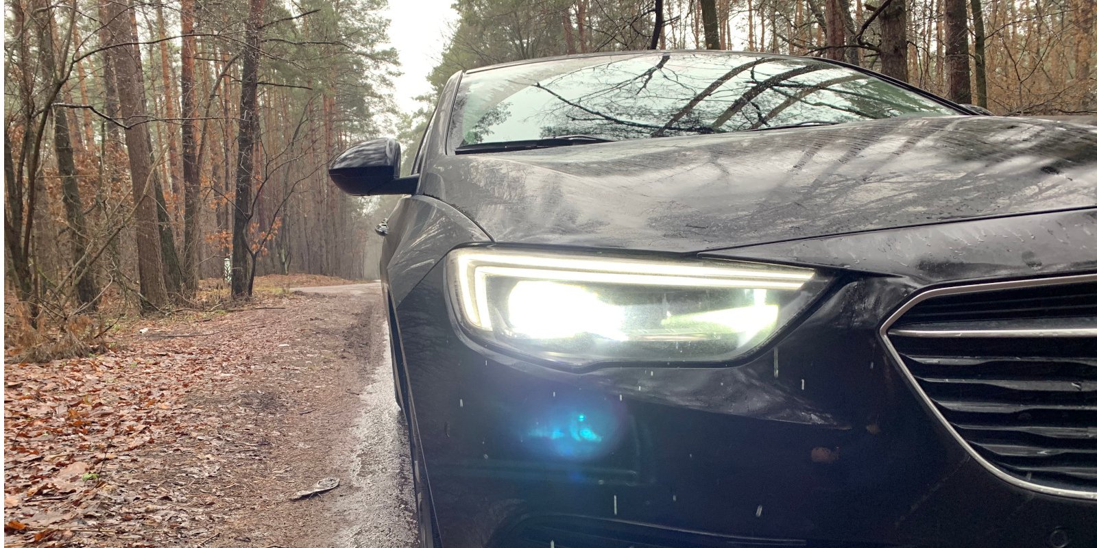 Тест-драйв Opel Insignia за 890 тыс. грн (Фото: НВ)