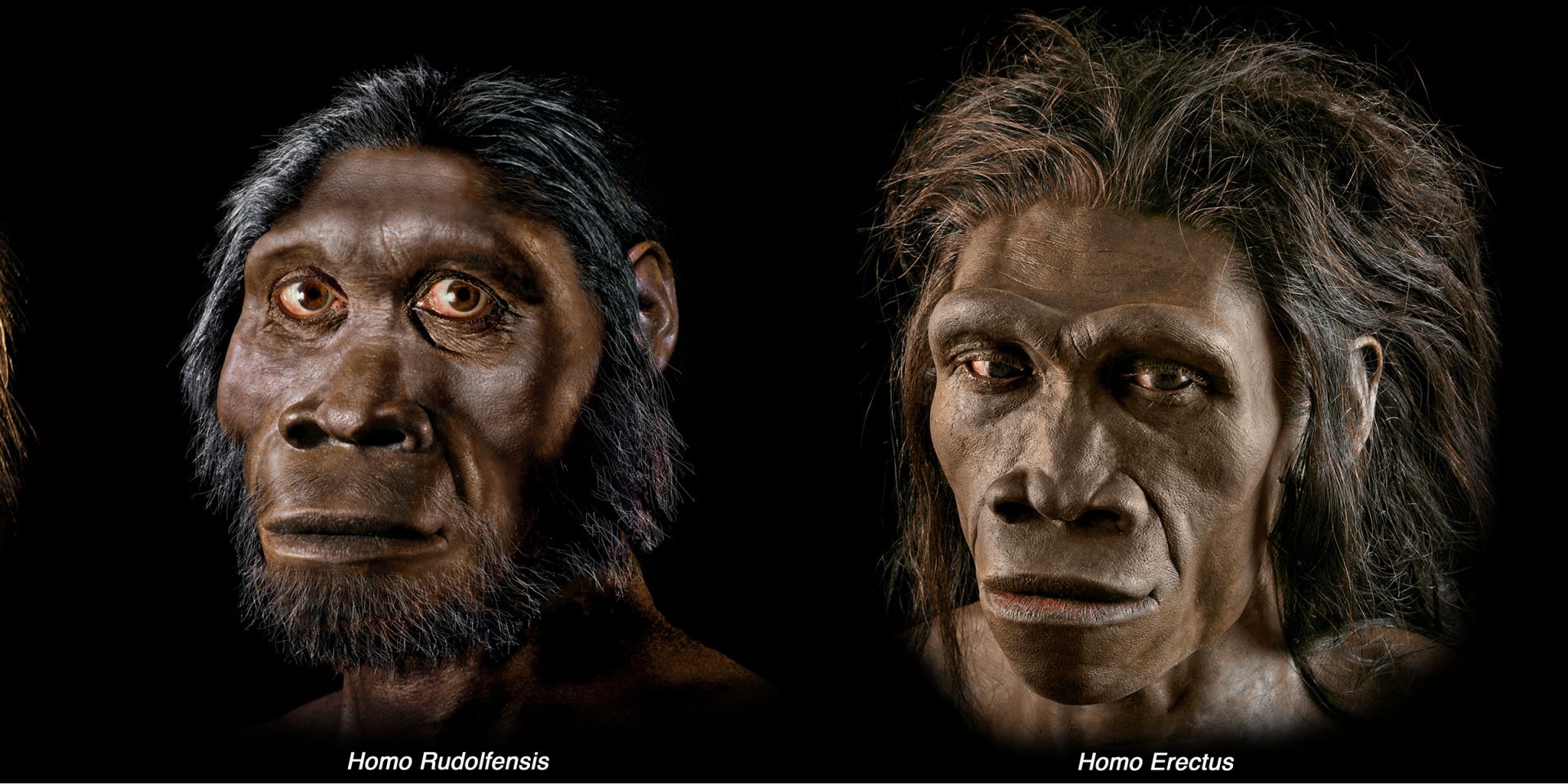 Проклята еволюція. Як і коли люди стали розумнішими за мавп - фото