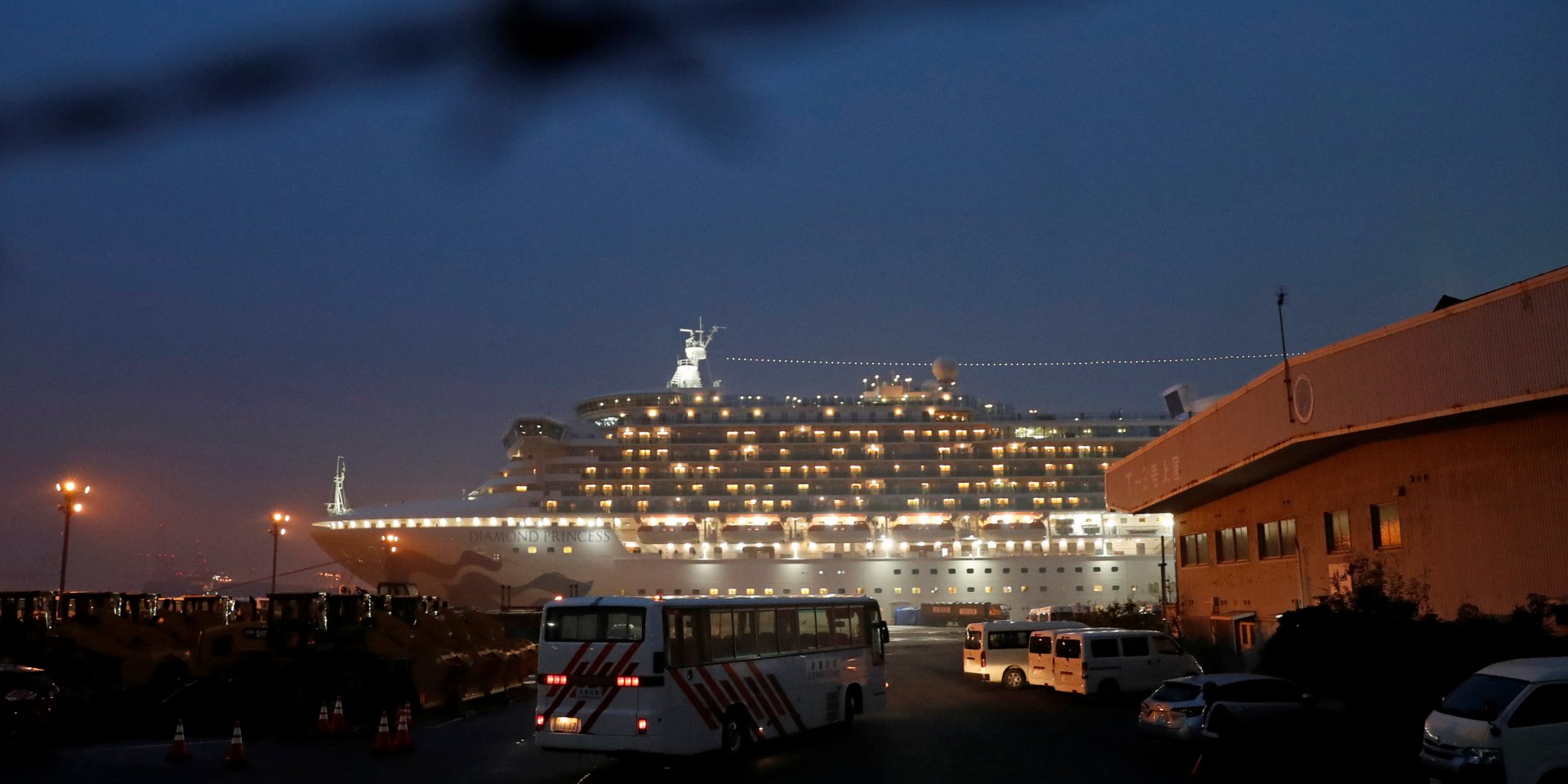 Еще у 99 пассажиров Diamond Princess обнаружили коронаивирус (Фото: REUTERS/Issei Kato)