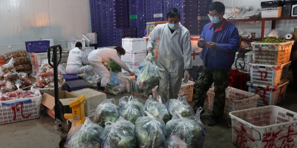 Диких животных называют вероятным источником вируса (Фото: China Daily via REUTERS)