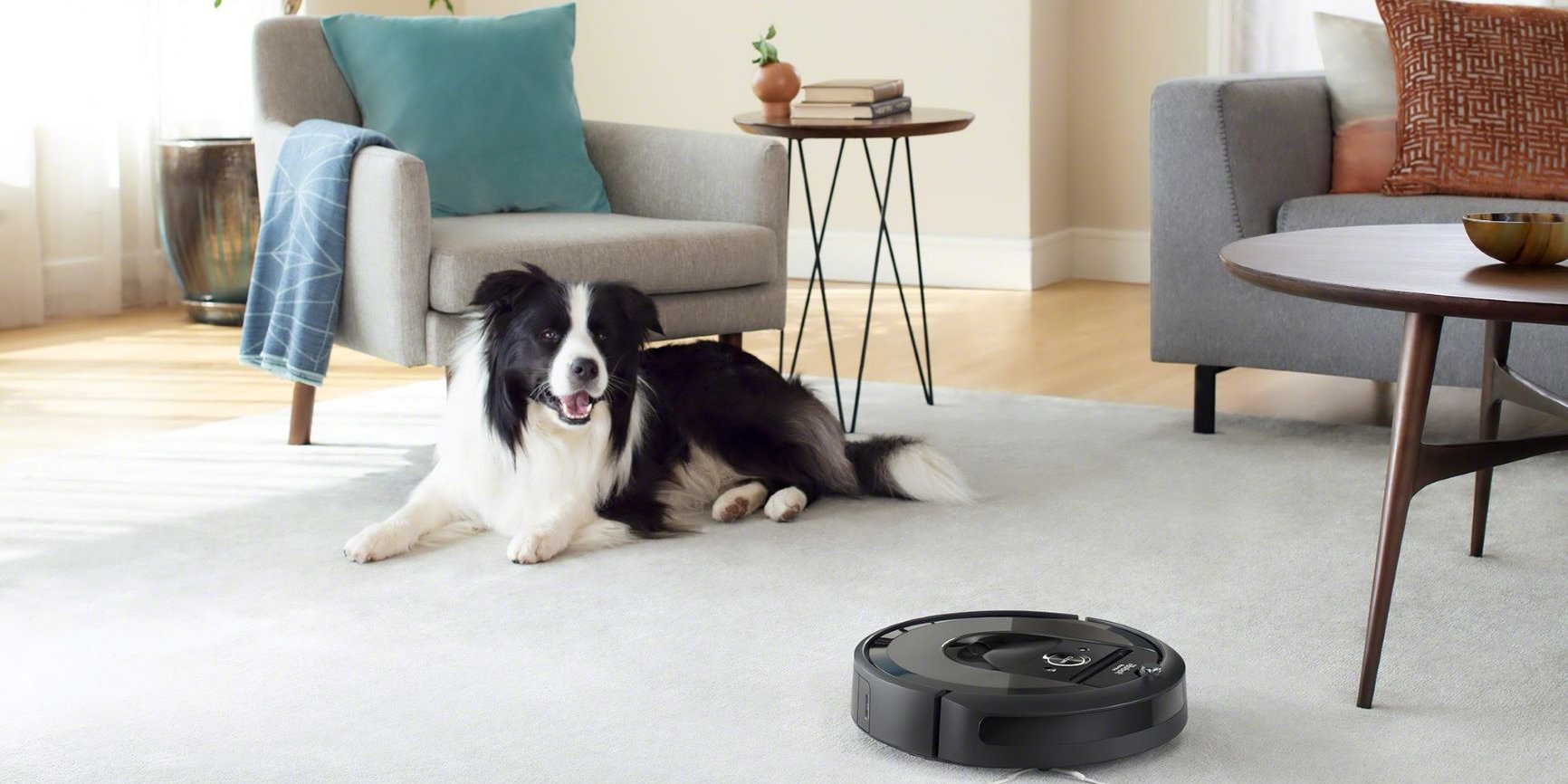 Уборка — занятие для роботов (Фото: iRobot)