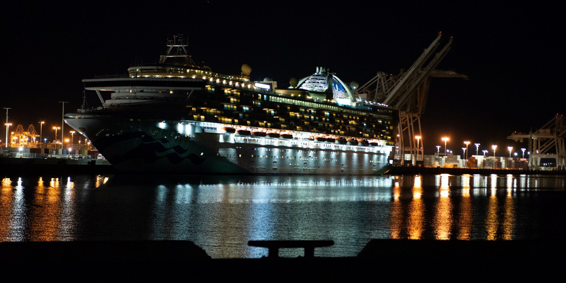 На лайнере Grand Princess выявлен 21 случай заражения коронавирусом (Фото: REUTERS/Kate Munsch)