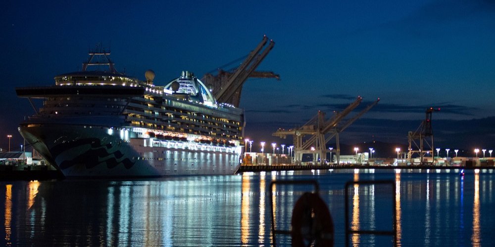 На борту Grand Princess — 49 украинцев (Фото: Kate Munsch/Reuters)