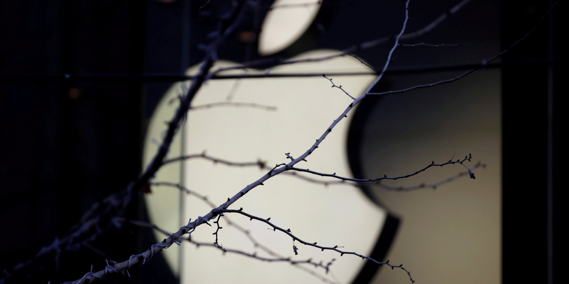 С 14 по 27 марта магазины компании Apple не будут работать (Фото: REUTERS/Jason Lee)