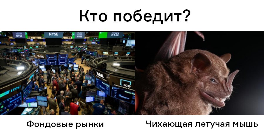 Cr3X1eUZ / Reddit