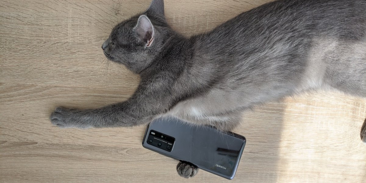 Кому больше всего подойдет Huawei P40 Pro? (Фото: НВ)