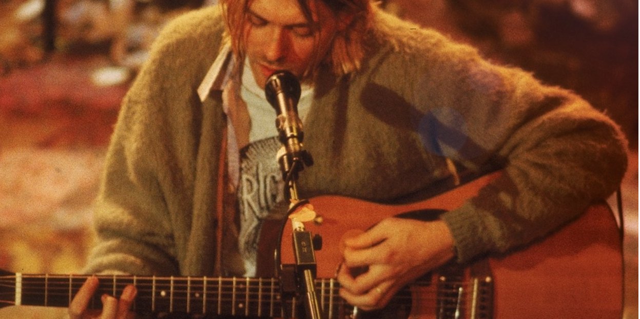 Саме з цією гітарою Курт Кобейн записав концертний альбом MTV Unplugged in New York (Фото: Julien’s Auctions via Facebook)