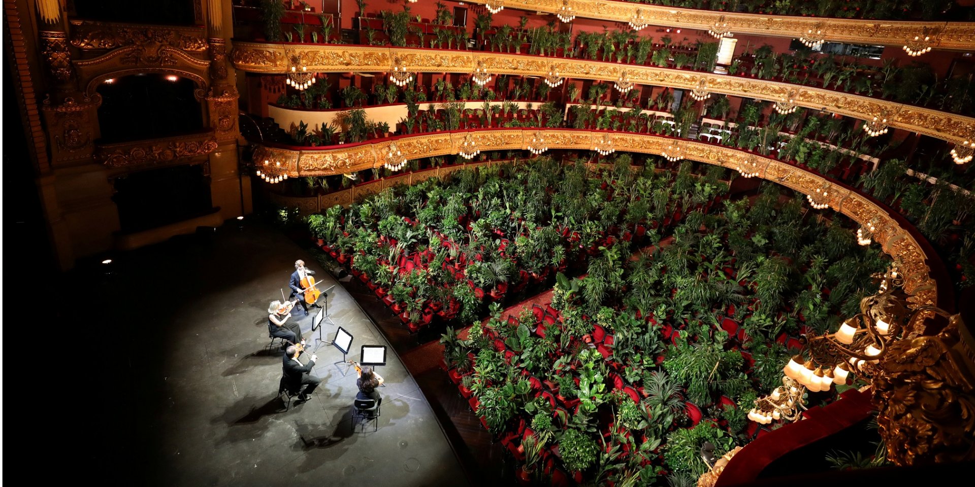 Горшки с растениями заняли все зрительские места (Фото: REUTERS/Nacho Doce)