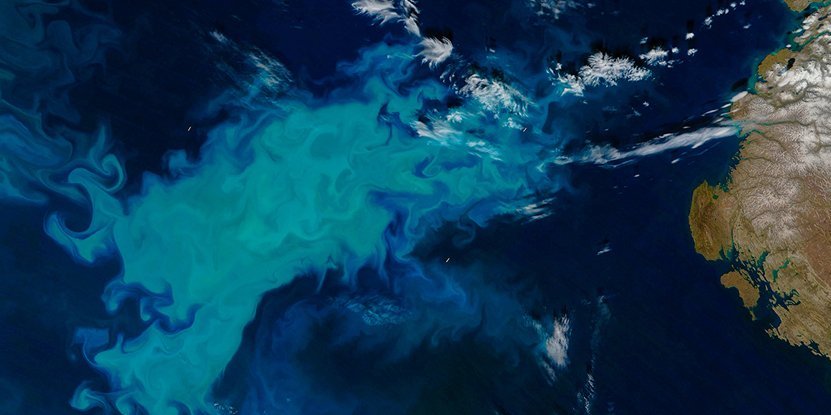 Океан поблизу Полярного кола стає зеленішим (Фото: Jeff Schmaltz & Joshua Stevens, LANCE / EOSDIS Rapid Response, NASA)