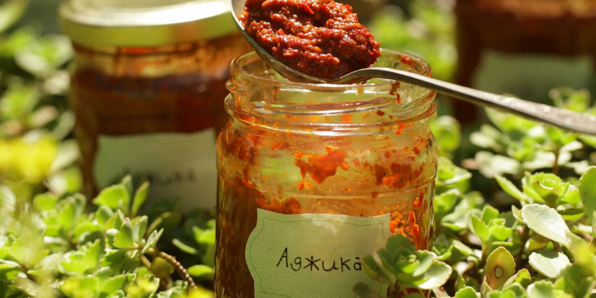 Аджика с яблоками и грецкими орехами (на зиму)