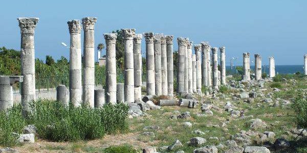 В Турции обнаружена могила древнегреческого поэта (Фото: Cultural Heritage TR/Twitter)