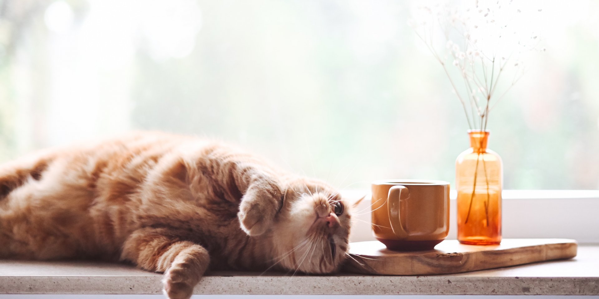 Вихідні вдома можуть бути затишними і розслабляючими (Фото: unsplash)