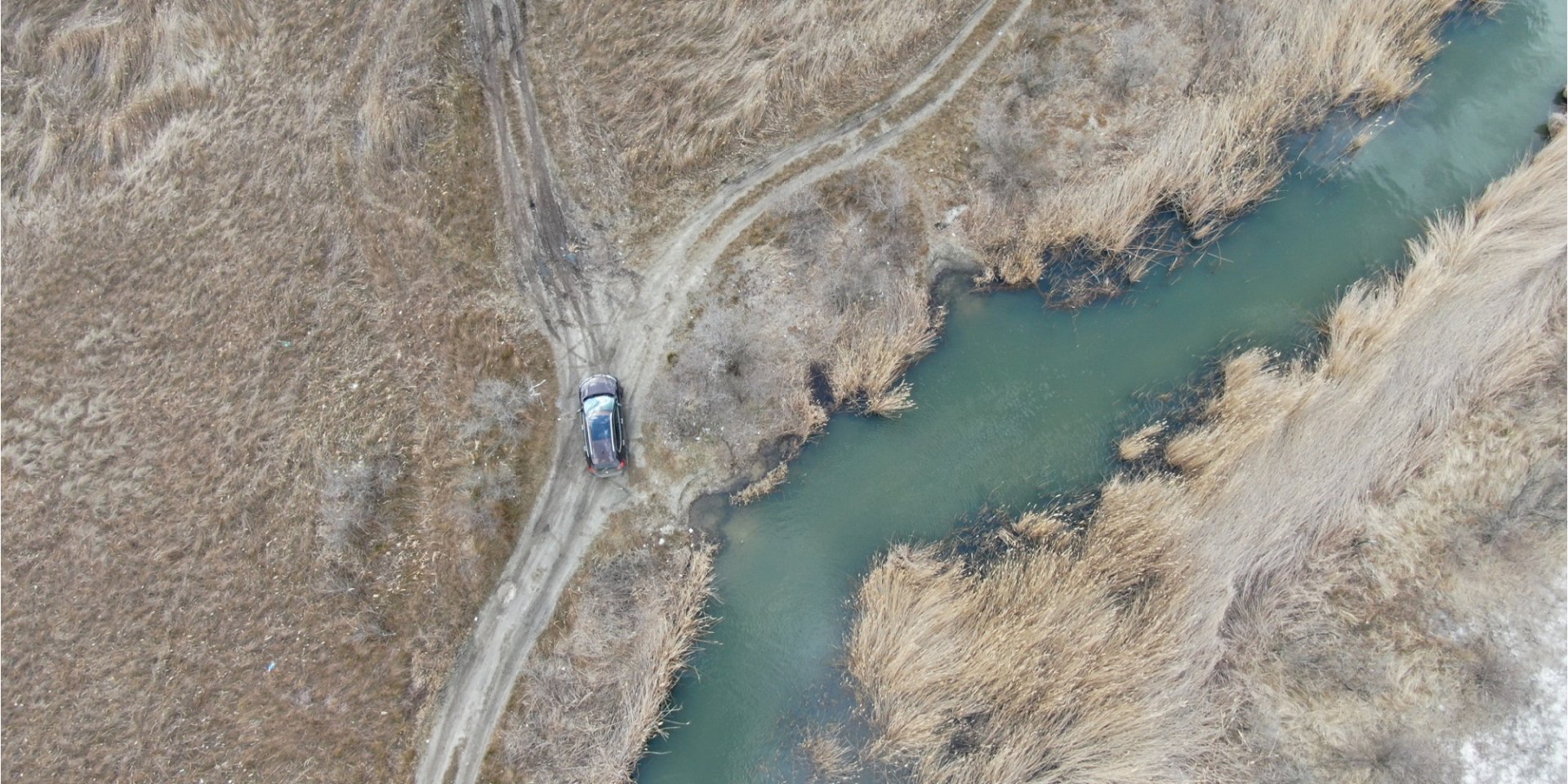 Nissan (Фото: Nissan)