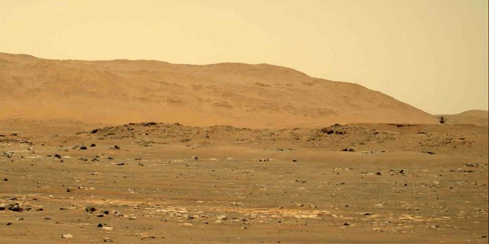 Марсіанський вертоліт Ingenuity з відстані 80 м (Фото: NASA)
