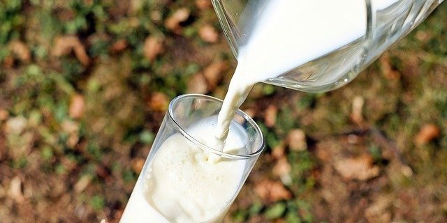 Влияет ли молоко на повышение уровня холестерина? (Фото: pixabay.com)