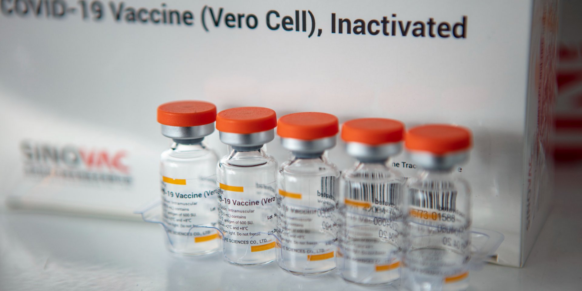 Украина получит новые партии вакцины CoronaVac в июле (Фото: Covid-19 vaccination via Flickr)