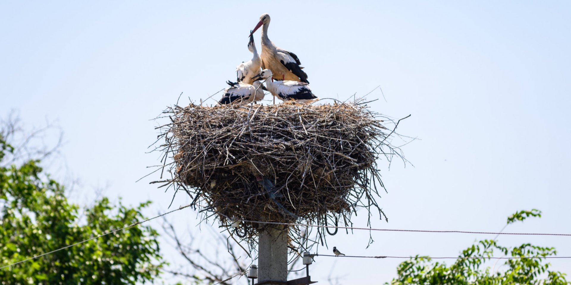Қынаптық порно видеодағы объектілер Орыс әйелдерінің жасырын мастурбациясы
