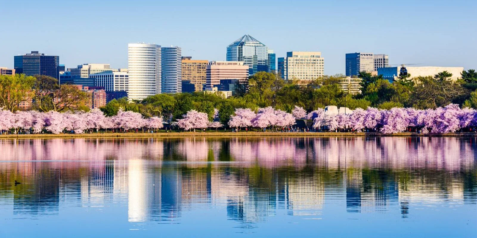 Вашингтон (Фото: НВ)