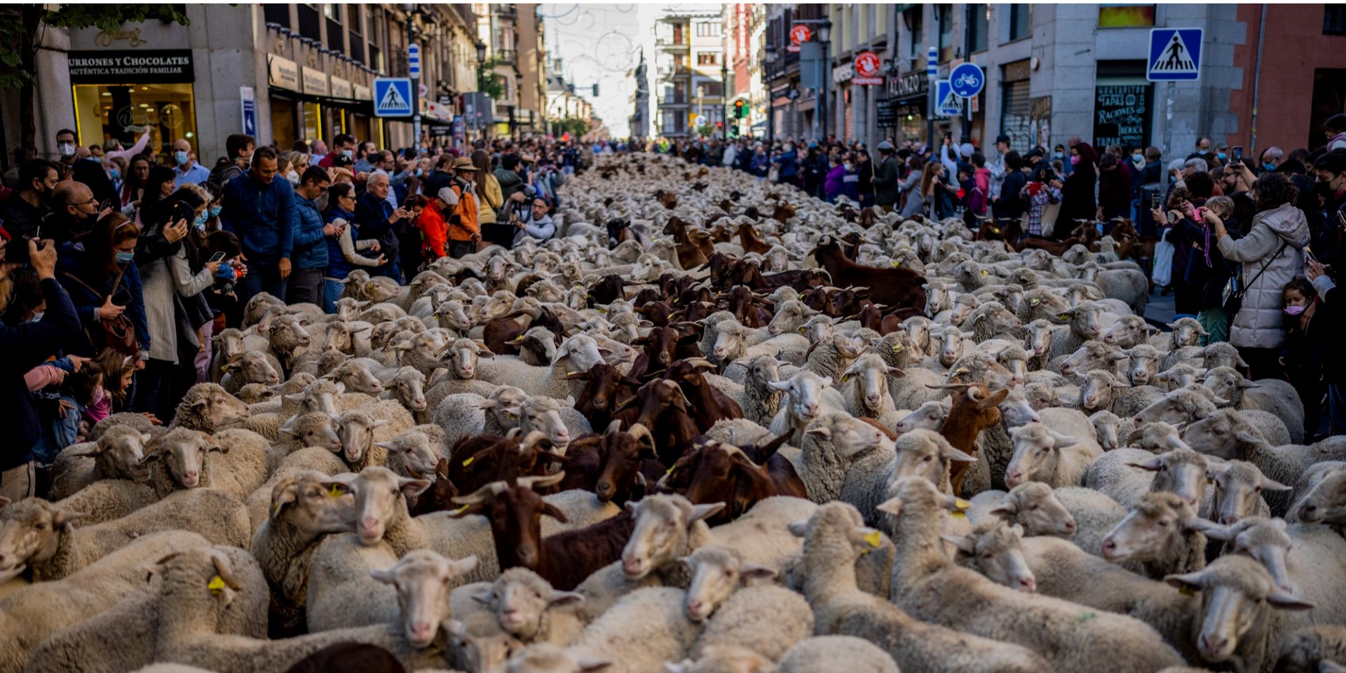 Ежегодный фестиваль Fiesta de la Trashumancia (Фото: AP)