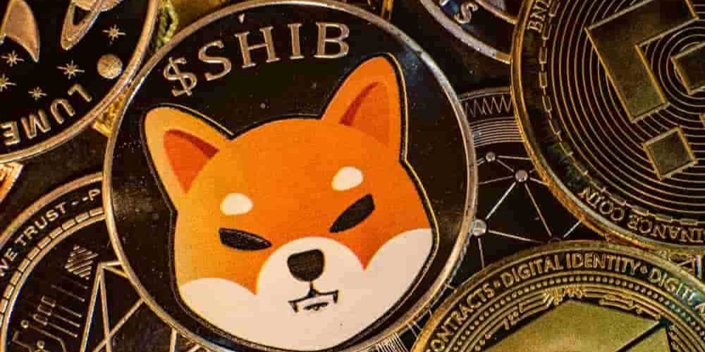 Криптовалюта Shiba Inu (Фото: CC)