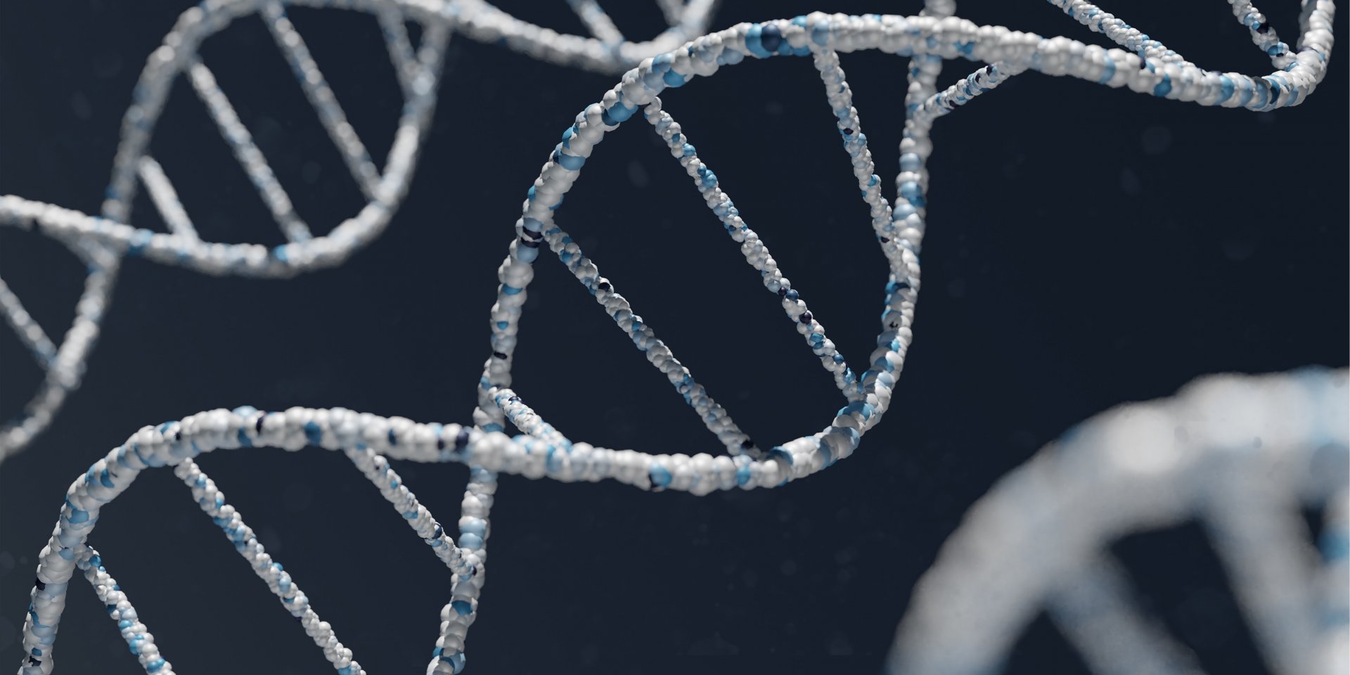 CRISPR — это мощный инструмент для редактирования генов (Фото: Warren Umoh/Unsplash)