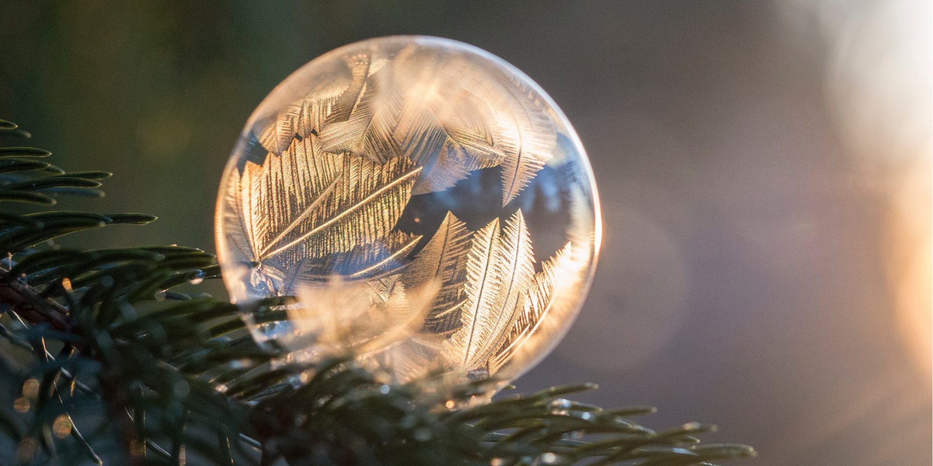 21 декабря — самый короткий солнечный день в году (Фото: aaron burden / unsplash)
