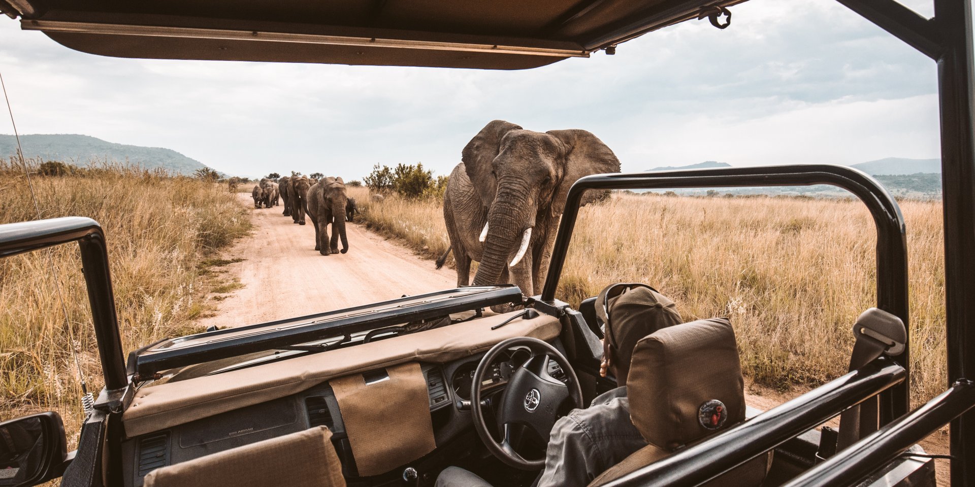 Что нужно знать о сафари в Африке (Фото: redcharlie/unsplash)