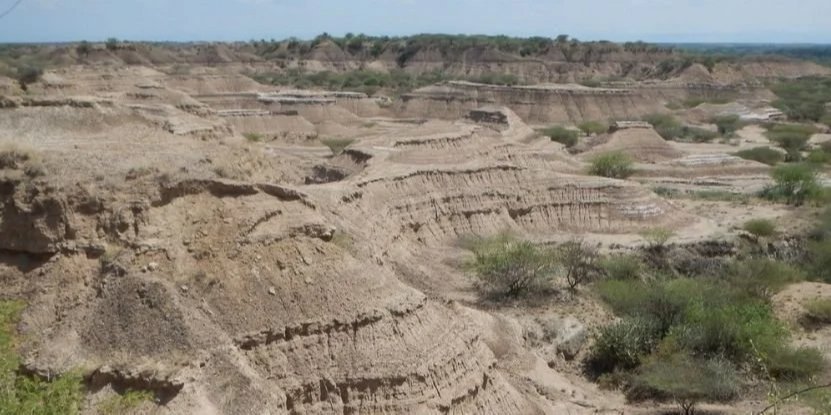 Возможно, этот регион Эфиопии был колыбелью Homo Sapiens (Фото: Céline Vidal)