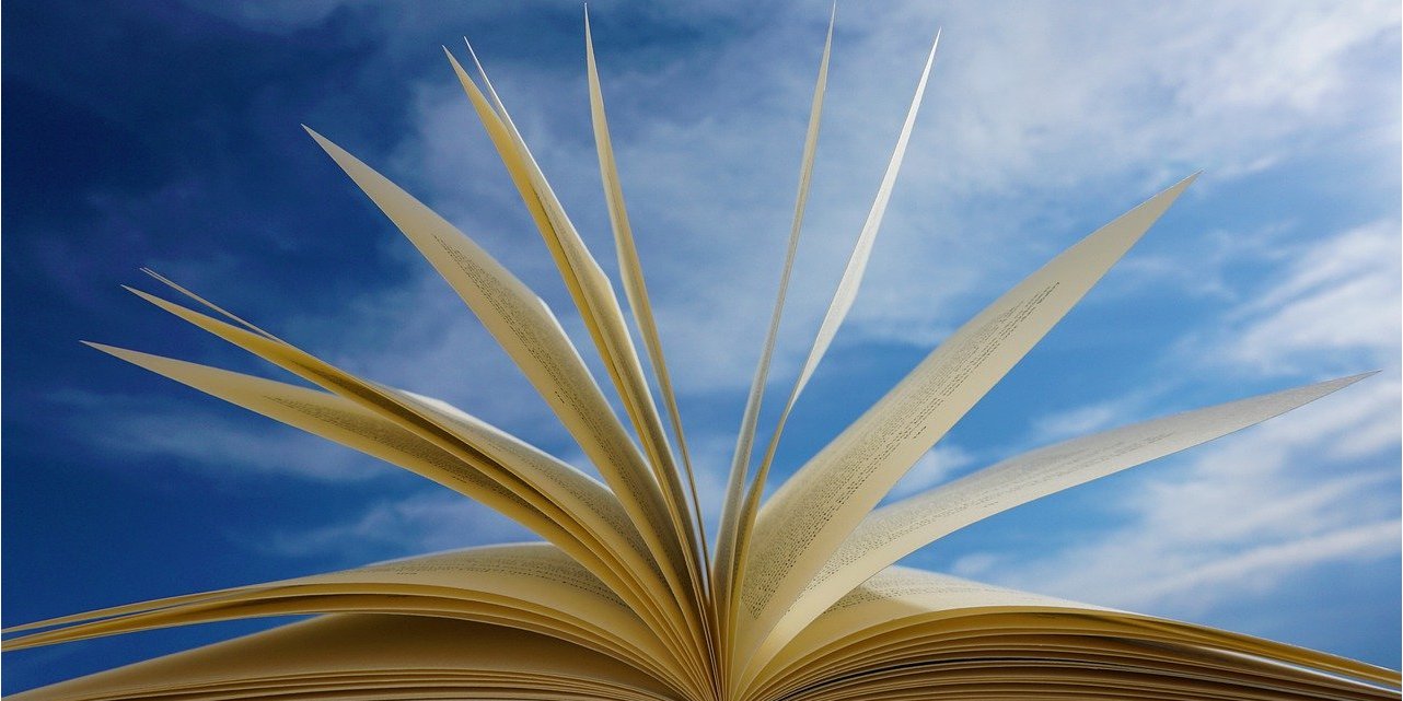 Книжки сучасних українських авторів (Фото: pixabay)
