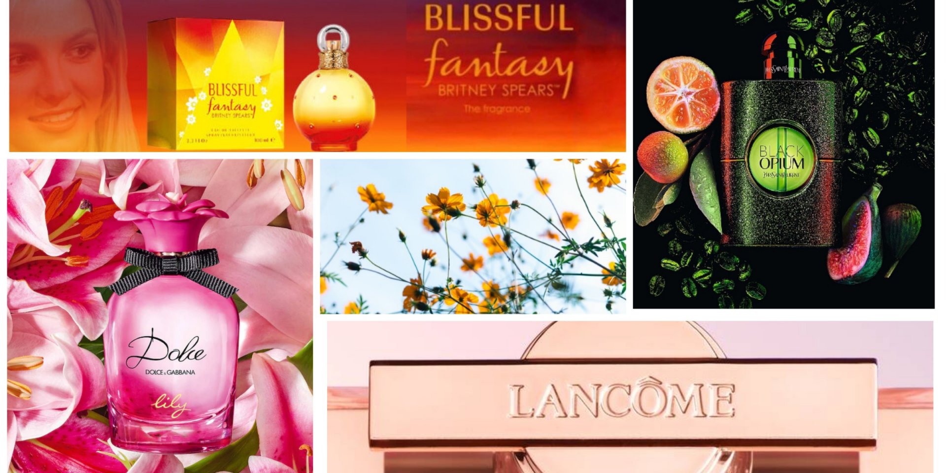 Четыре самые ожидаемые новинки этого сезона выпустили бренды Lancome, Dolce&Gabbana, Britney Spears, YSL (Фото: Коллаж НВ)