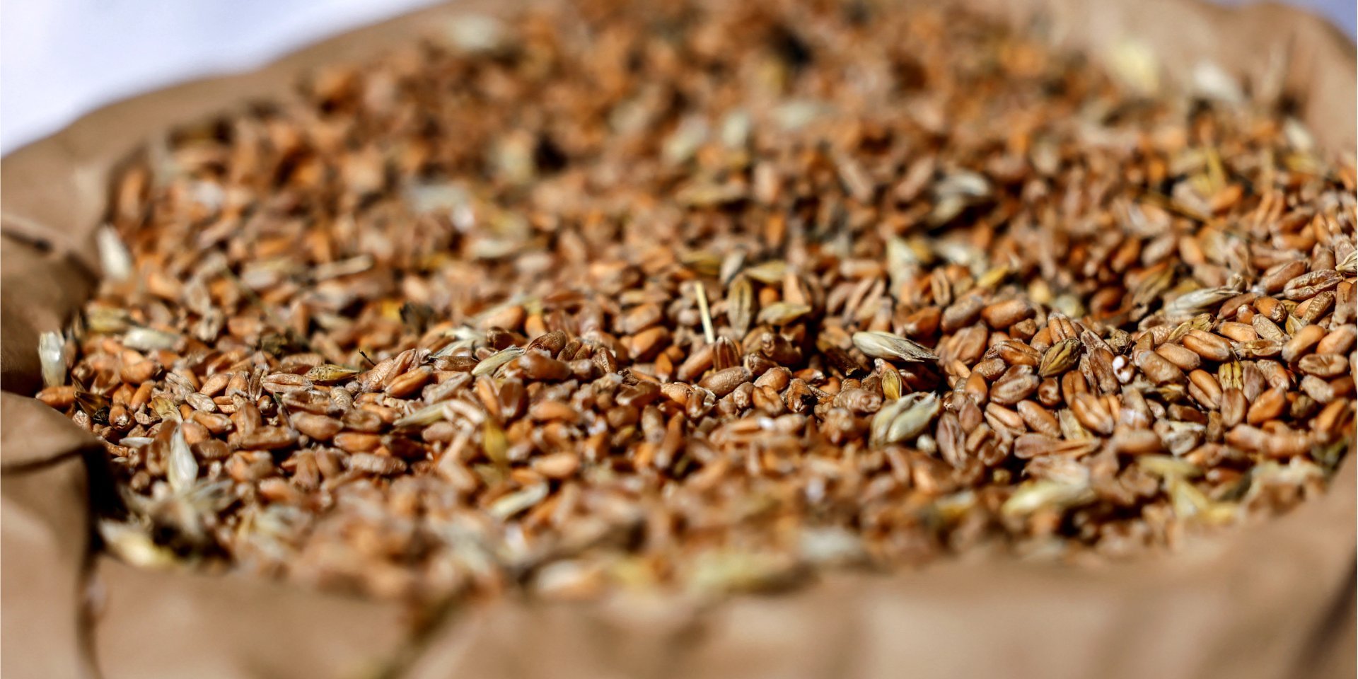 According to media reports, the United States will not lift sanctions against Russia in exchange for grain (Photo: REUTERS/Hannibal Hanschke)