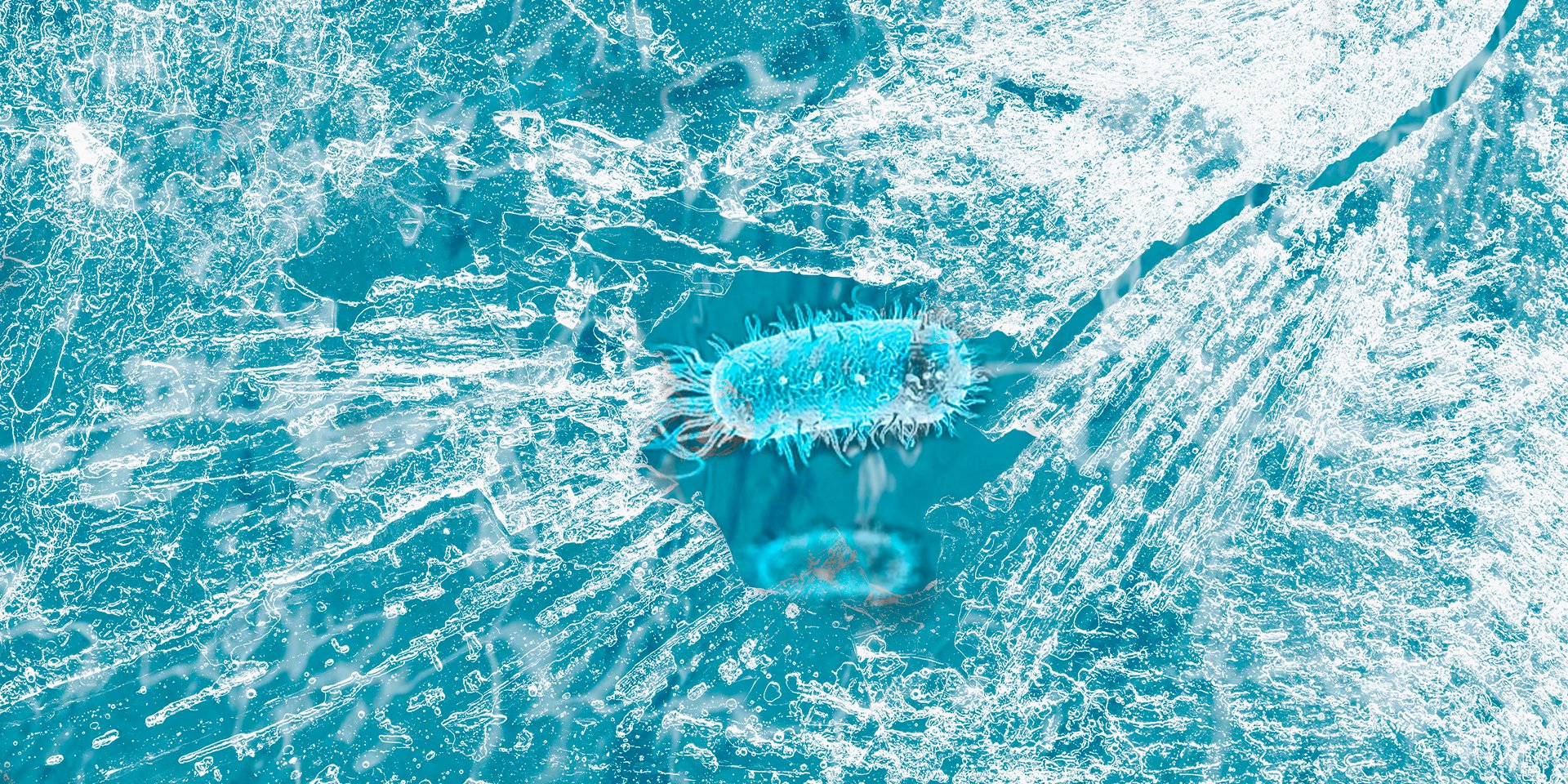 Вічна мерзлота та льодовики стали домівкою для неймовірної кількості мікробів і бактерій (Фото: НВ)