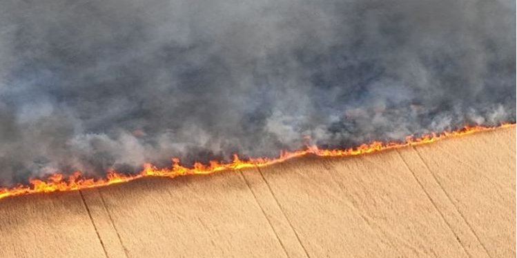 Hot weather worsens the situation (Photo: Ihor Lutsenko/Facebook)