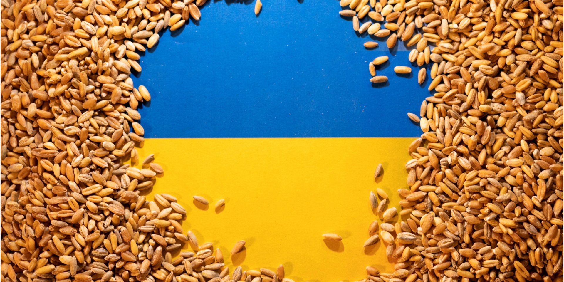 The mouth of Bystre was opened for the export of agricultural products thanks to the liberation from the occupiers of Zmiiny Island (Photo: Dado Ruvic / Reuters)