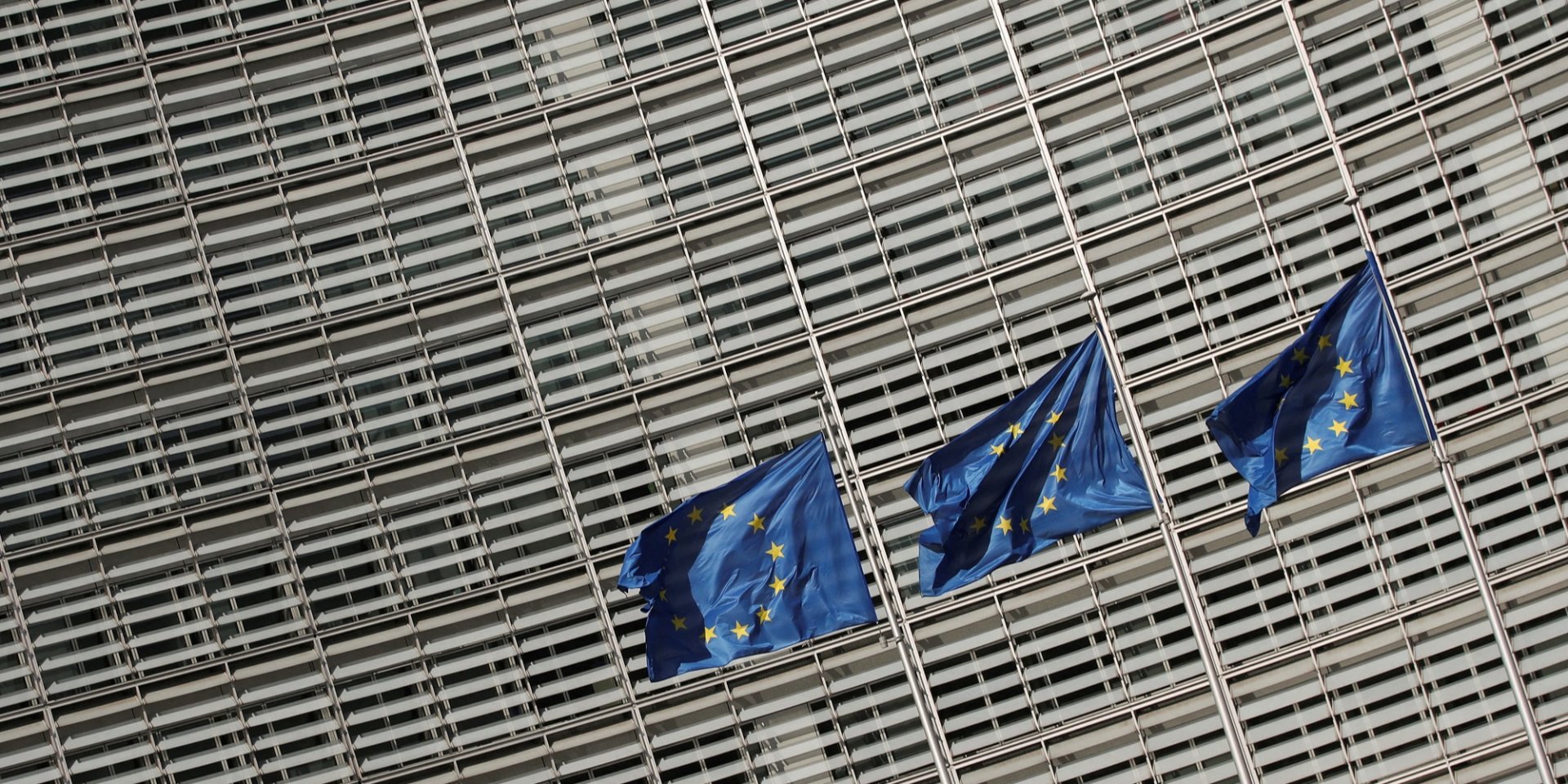 Прапори ЄС у&nbsp;Брюсселі (Фото: REUTERS/Yves Herman)