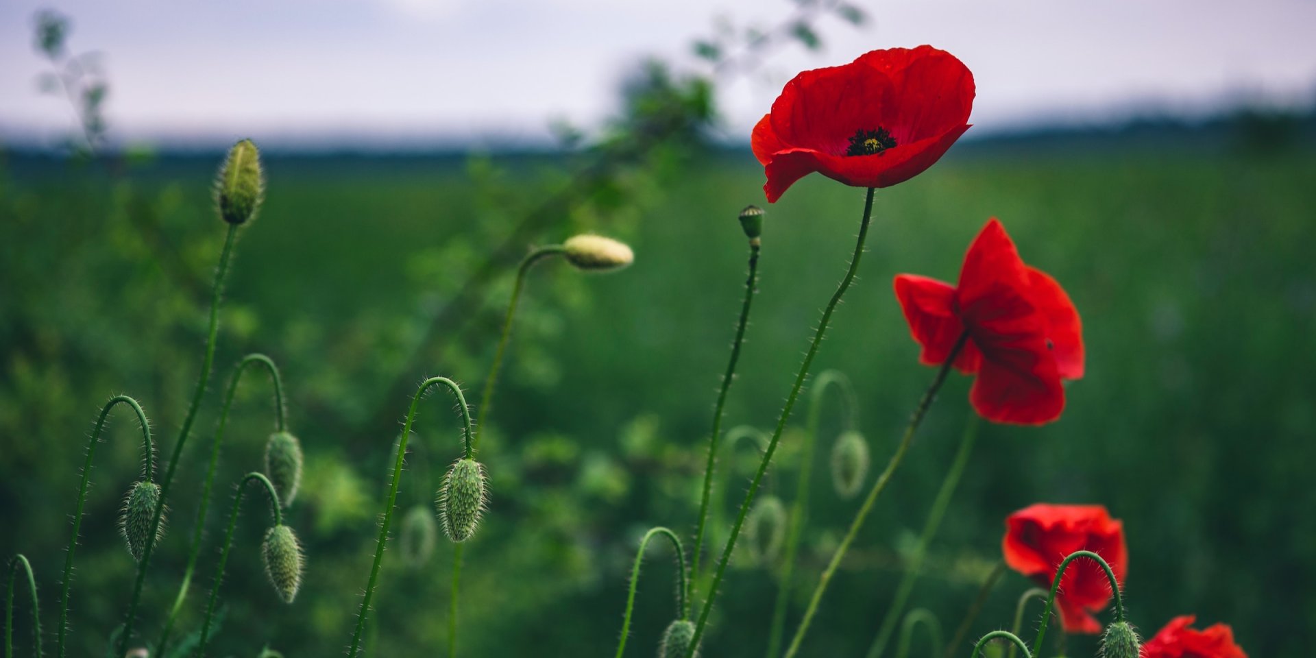 Астрологічний гороскоп на травень 2023 для всіх знаків зодіаку (Фото: Unsplash)