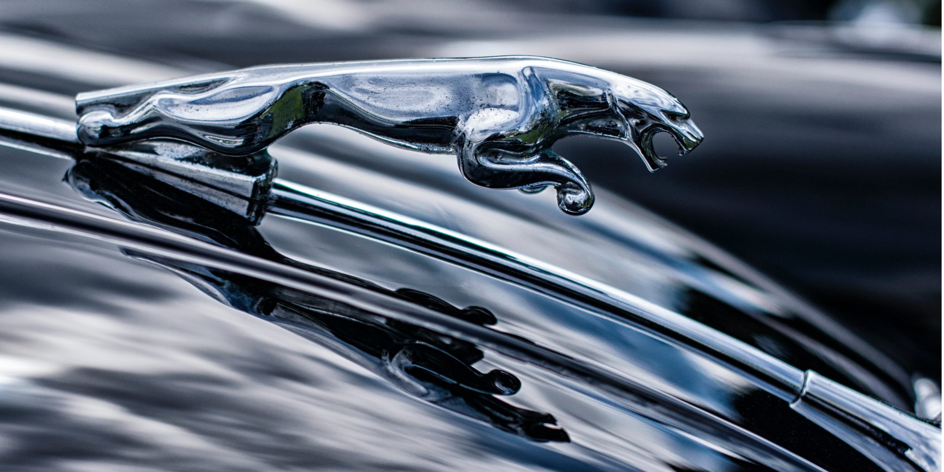 Jaguar розділить бренди — з’являться три нові для позашляховиків (Фото: Grahame Jenkins / Unsplash)